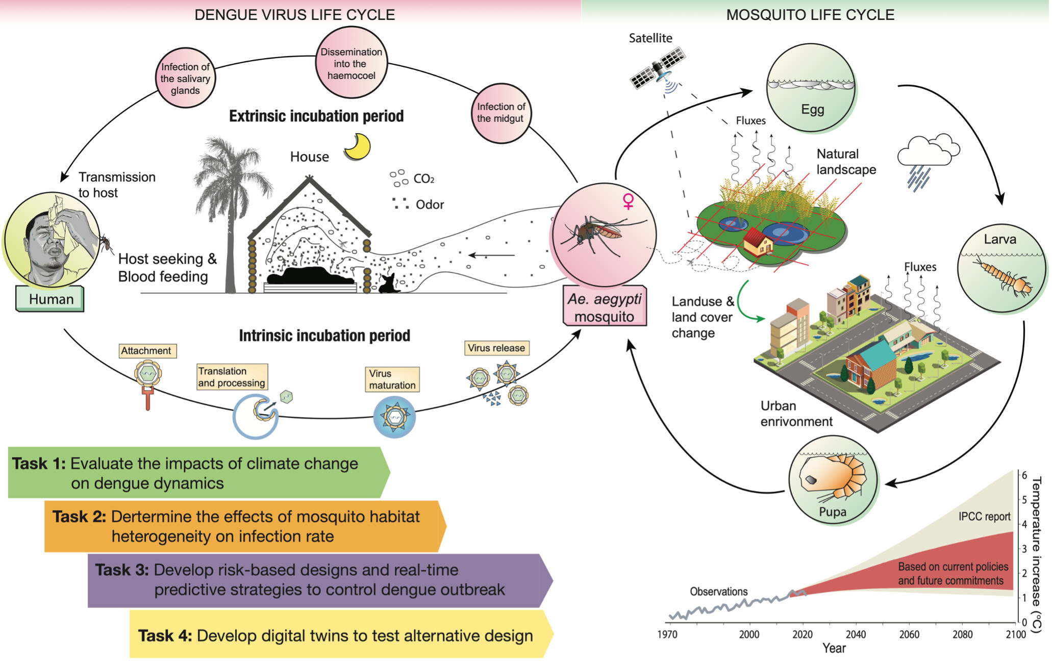 Envisioning Urban Environments Resilient to Vector-Borne Diseases: A One Health Approach to Dengue Management