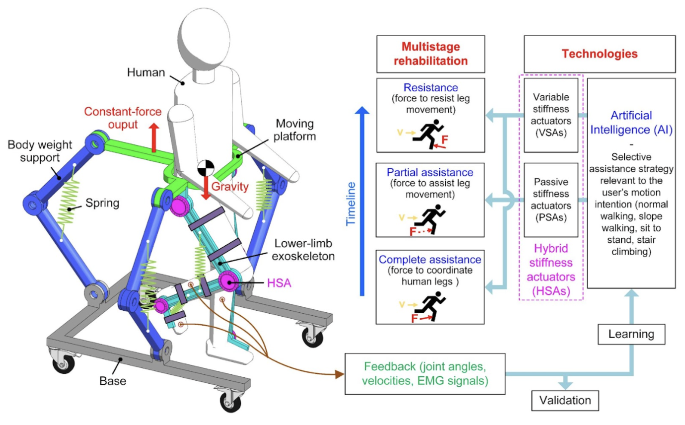 The Future of Rehabilitation Robotics: A Framework for Human-Robot Interaction for Complete Training and Assessment