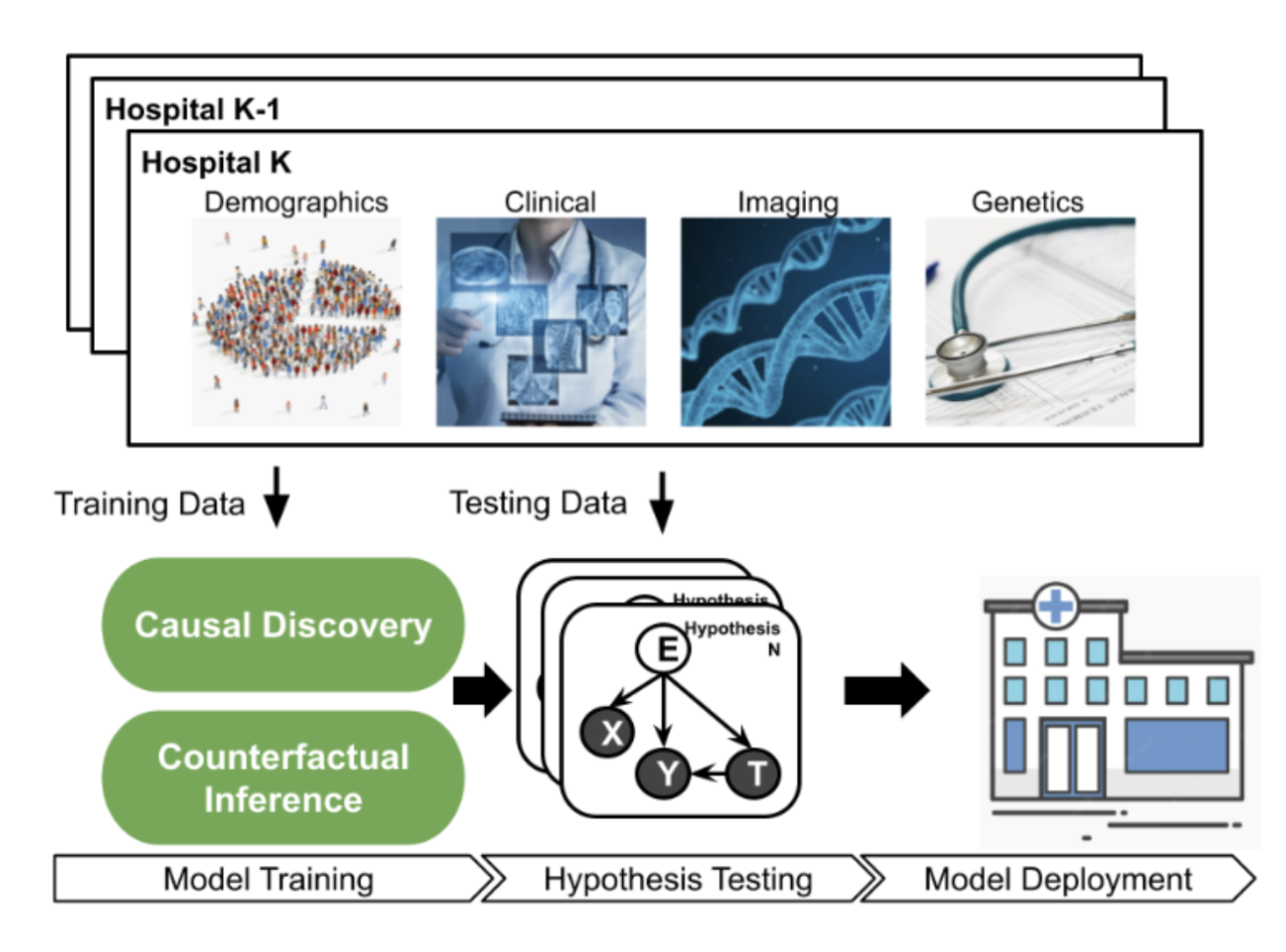 From Causal Understanding of Healthy Longevity to Smart Health