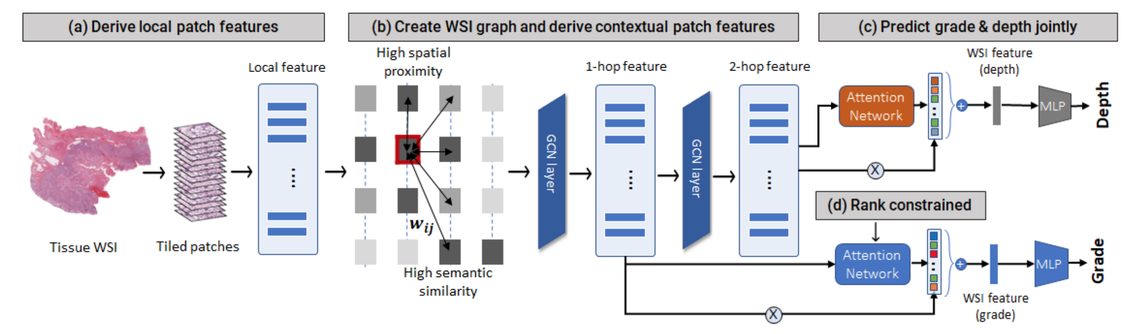 Enhancing Precision Digital Pathology with an AI-powered Platform Accelerated by Supercomputers
